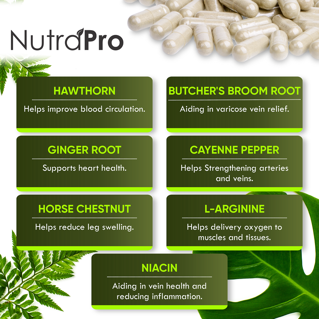 Best Blood Circulation Supplements and Vein Support-Blood Flow, Leg Circulation.