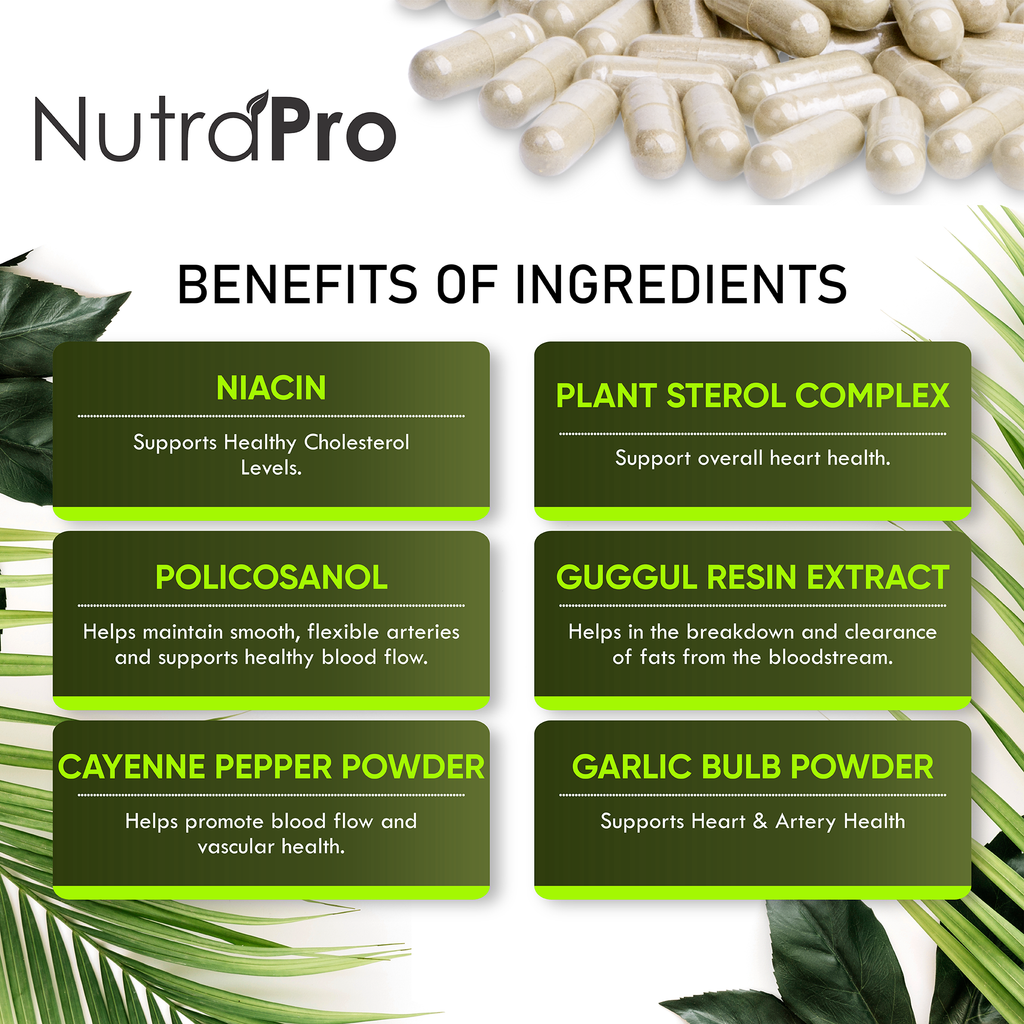 Heart Health Cholesterol Support Supplements