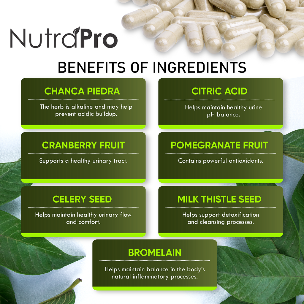 Urinary Tract Health For Women & Bladder Support